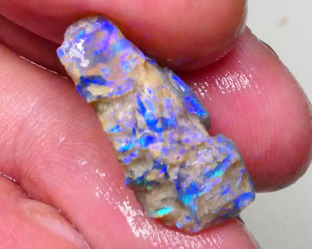 Stunning Opalised Fossil/knobby opal rough 24x12x10mm Bright Blues/Greens Collect or carve 24x12x10mm  Lot B4-A624