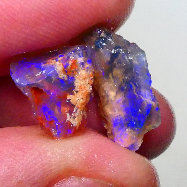 dark Crystal opalised wood fossil rough pair 7.75cts Lightning Ridge Material Loaded with blues 17x9x5mm & 12x10x7mm Lot B4-A634