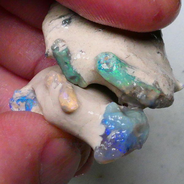 Untouched pair of Lighting Ridge Knobby opal formations rough 65.00cts Green/blue/oranges Exotic pair  Lot B4-A633