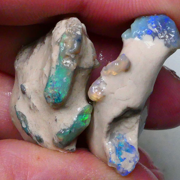 Untouched pair of Lighting Ridge Knobby opal formations rough 65.00cts Green/blue/oranges Exotic pair  Lot B4-A633