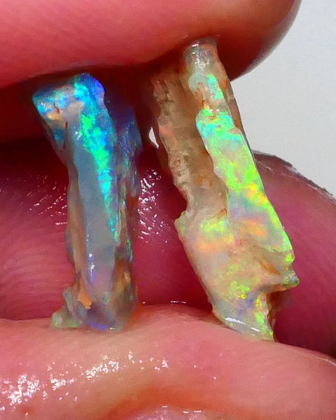Pair Lightning ridge opalised wood fossils rough 5.25cts Super Bright Multicolours to chase 18x10x4mm & 16x9x4mm   Lot B4-A630