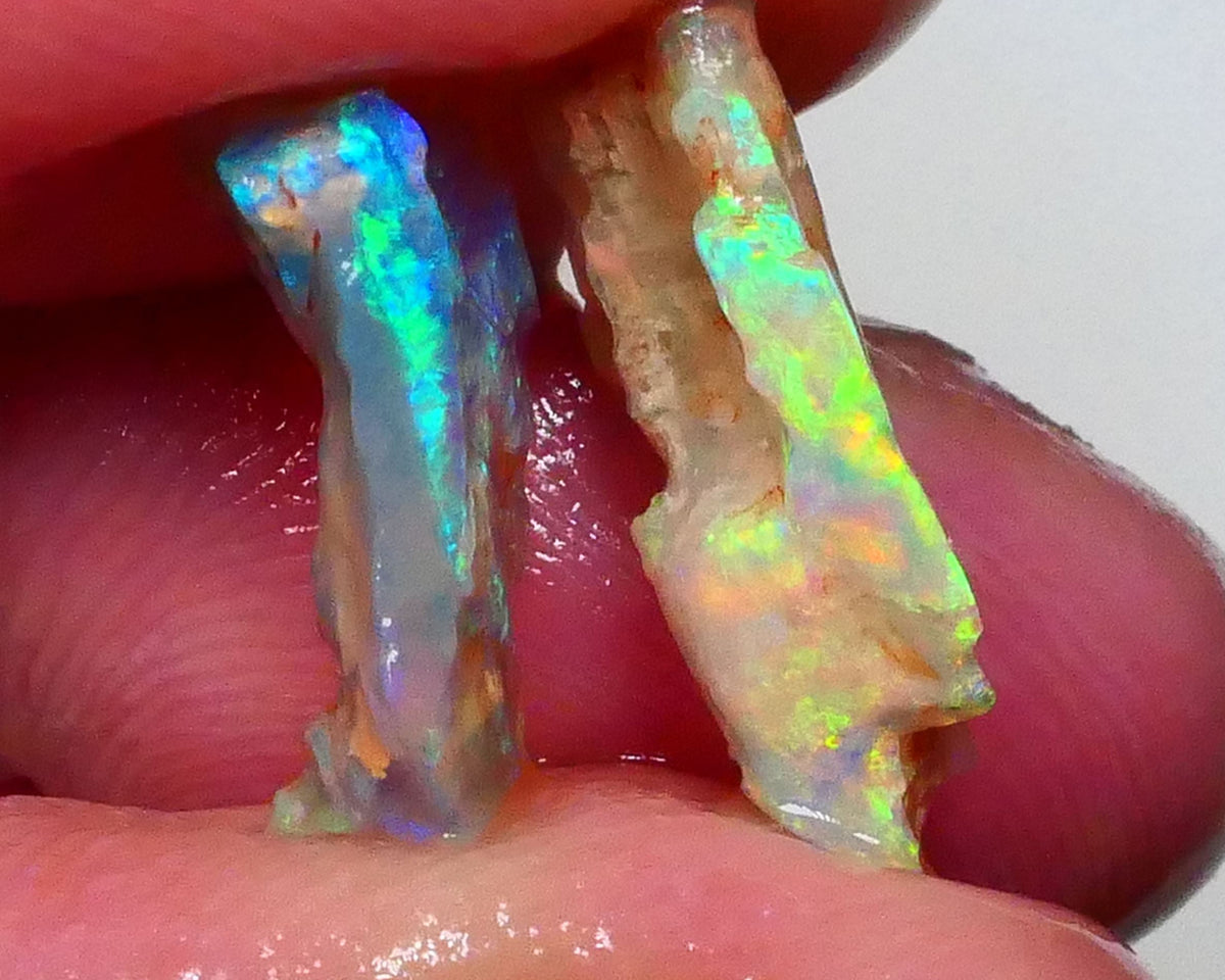 Pair Lightning ridge opalised wood fossils rough 5.25cts Super Bright Multicolours to chase 18x10x4mm & 16x9x4mm   Lot B4-A630