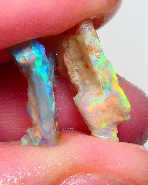 Pair Lightning ridge opalised wood fossils rough 5.25cts Super Bright Multicolours to chase 18x10x4mm & 16x9x4mm   Lot B4-A630
