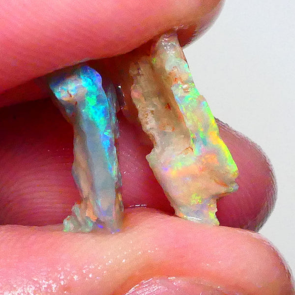 Pair Lightning ridge opalised wood fossils rough 5.25cts Super Bright Multicolours to chase 18x10x4mm & 16x9x4mm   Lot B4-A630