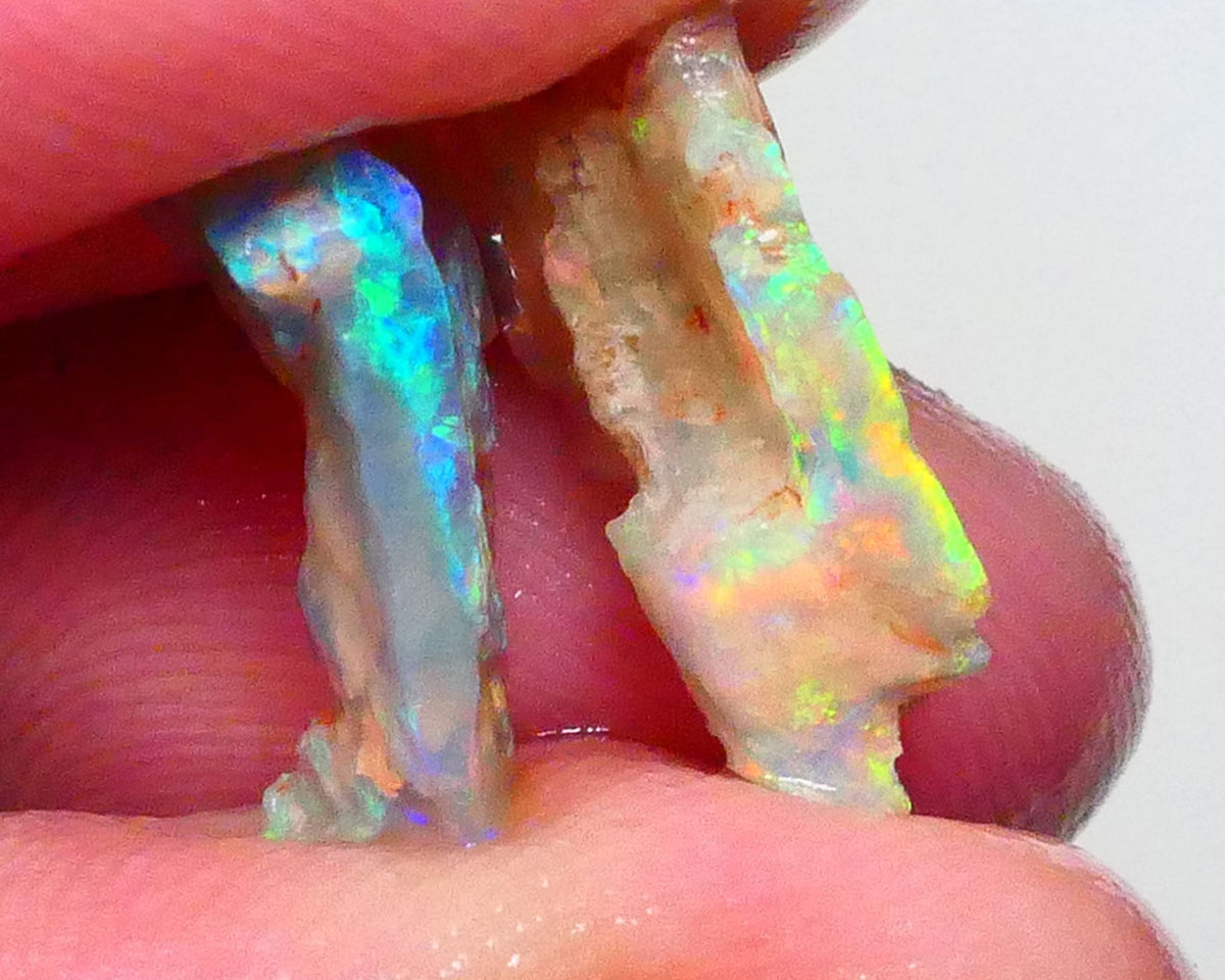 Pair Lightning ridge opalised wood fossils rough 5.25cts Super Bright Multicolours to chase 18x10x4mm & 16x9x4mm   Lot B4-A630