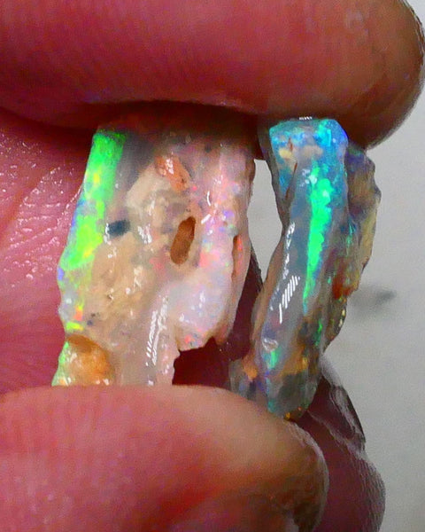 Pair Lightning ridge opalised wood fossils rough 5.25cts Super Bright Multicolours to chase 18x10x4mm & 16x9x4mm   Lot B4-A630