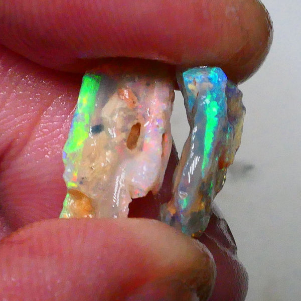 Pair Lightning ridge opalised wood fossils rough 5.25cts Super Bright Multicolours to chase 18x10x4mm & 16x9x4mm   Lot B4-A630