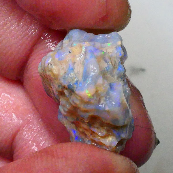 untouched Lighting Ridge Knobby opal rough 19.00cts Blue dominant Multifires 22x17x12mm Lot B4-A629