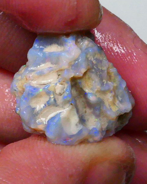 untouched Lighting Ridge Knobby opal rough 19.00cts Blue dominant Multifires 22x17x12mm Lot B4-A629