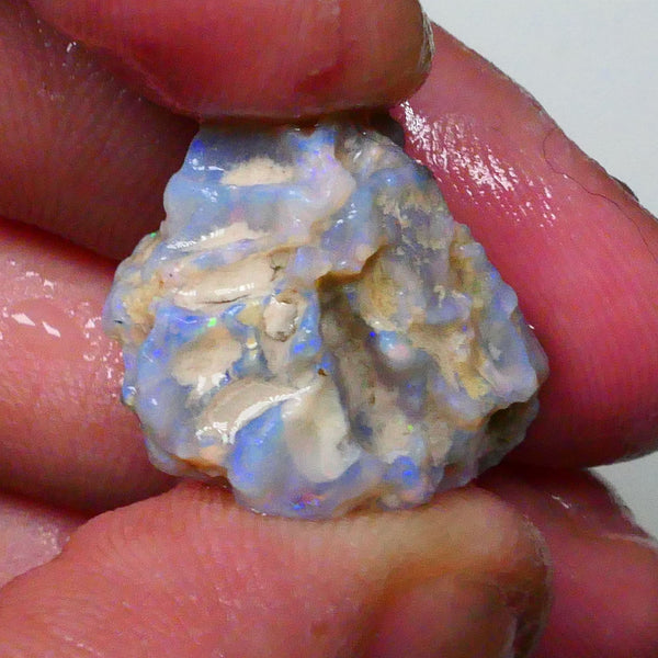 untouched Lighting Ridge Knobby opal rough 19.00cts Blue dominant Multifires 22x17x12mm Lot B4-A629