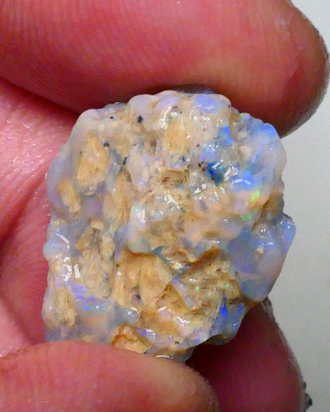 untouched Lighting Ridge Knobby opal rough 19.00cts Blue dominant Multifires 22x17x12mm Lot B4-A629