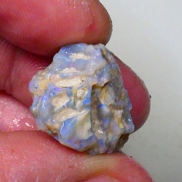 untouched Lighting Ridge Knobby opal rough 19.00cts Blue dominant Multifires 22x17x12mm Lot B4-A629
