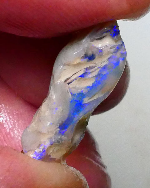 Lighting ridge Knobby opal formation rough 8.10cts Lots of blue colours to gamble 19x13x6mm  Lot B4-A627