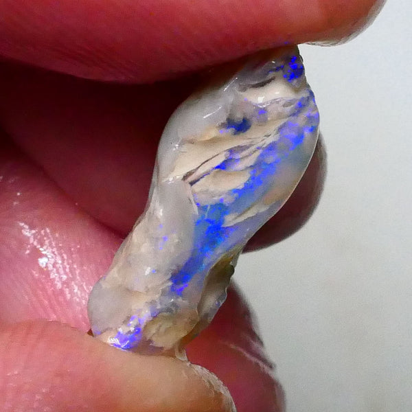 Lighting ridge Knobby opal formation rough 8.10cts Lots of blue colours to gamble 19x13x6mm  Lot B4-A627