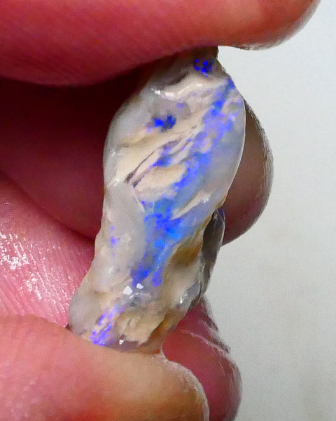 Lighting ridge Knobby opal formation rough 8.10cts Lots of blue colours to gamble 19x13x6mm  Lot B4-A627