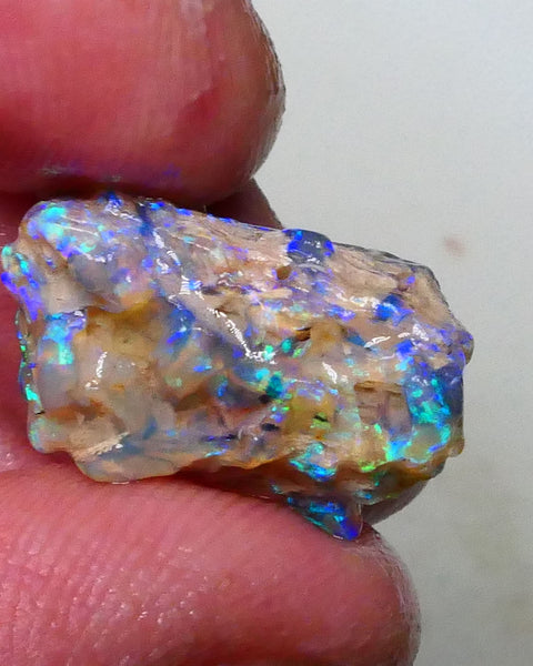 Opalised fossil formation rough 9.00cts Lightning Ridge Bright Greens/blues to carve or collect 21x12x9mm Lot B4-A626