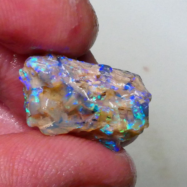 Opalised fossil formation rough 9.00cts Lightning Ridge Bright Greens/blues to carve or collect 21x12x9mm Lot B4-A626