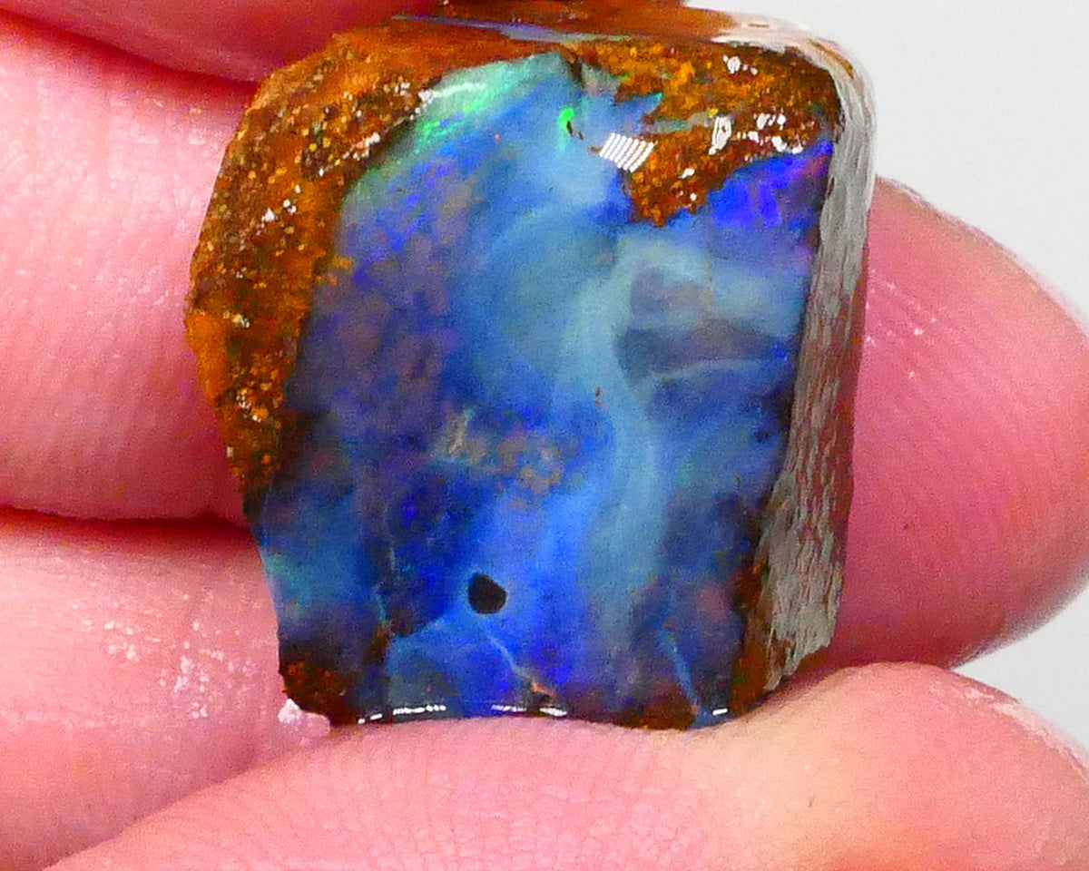Gorgeous Blue opal face to this 33.20cts Winton Boulder Opal rough to cut & polish 19x18x13mm Lot B4-A643