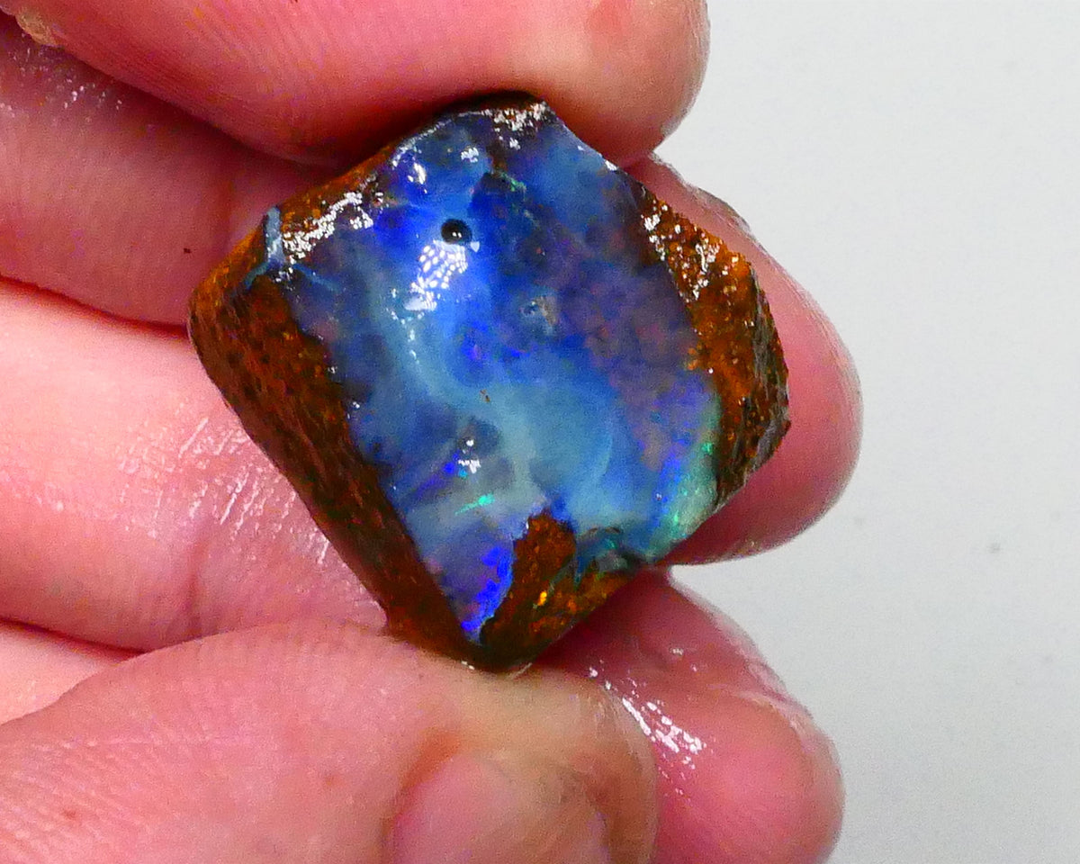 Gorgeous Blue opal face to this 33.20cts Winton Boulder Opal rough to cut & polish 19x18x13mm Lot B4-A643