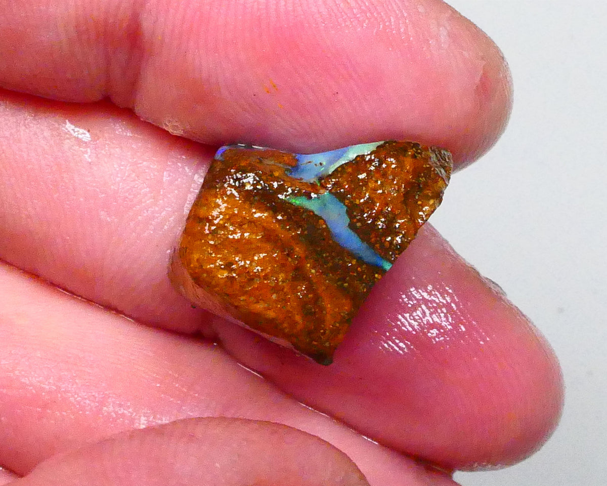 Gorgeous Blue opal face to this 33.20cts Winton Boulder Opal rough to cut & polish 19x18x13mm Lot B4-A643