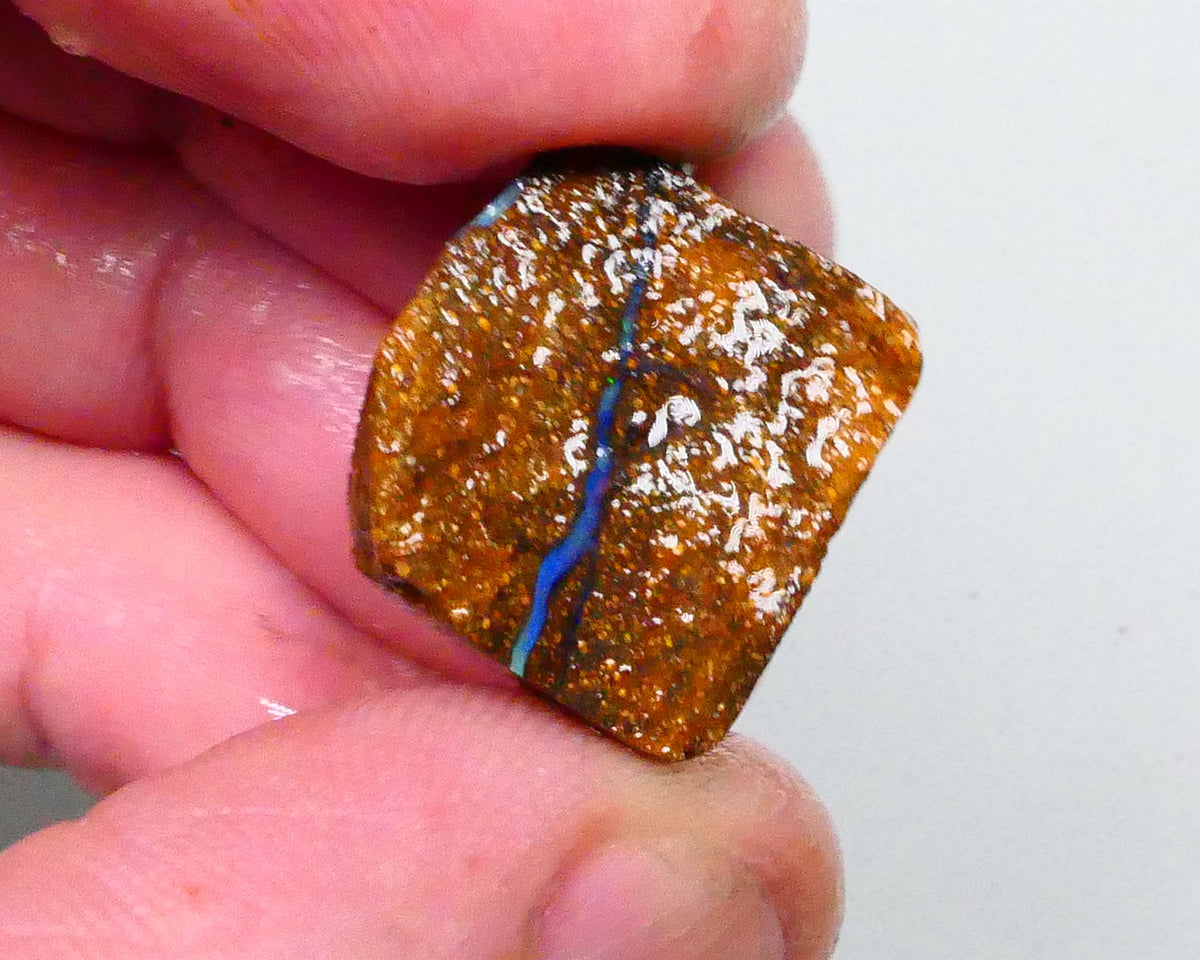 Gorgeous Blue opal face to this 33.20cts Winton Boulder Opal rough to cut & polish 19x18x13mm Lot B4-A643