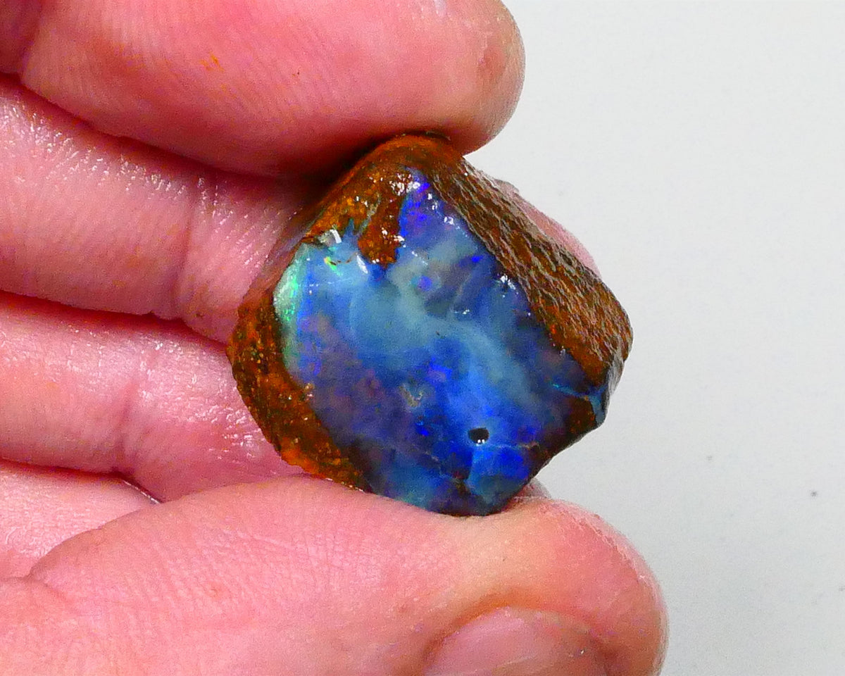 Gorgeous Blue opal face to this 33.20cts Winton Boulder Opal rough to cut & polish 19x18x13mm Lot B4-A643