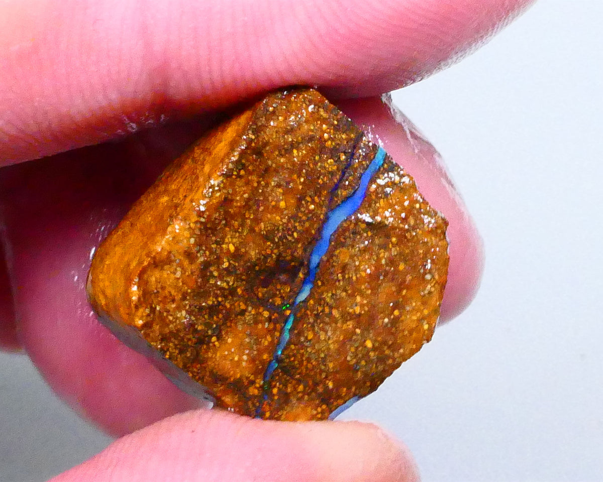 Gorgeous Blue opal face to this 33.20cts Winton Boulder Opal rough to cut & polish 19x18x13mm Lot B4-A643