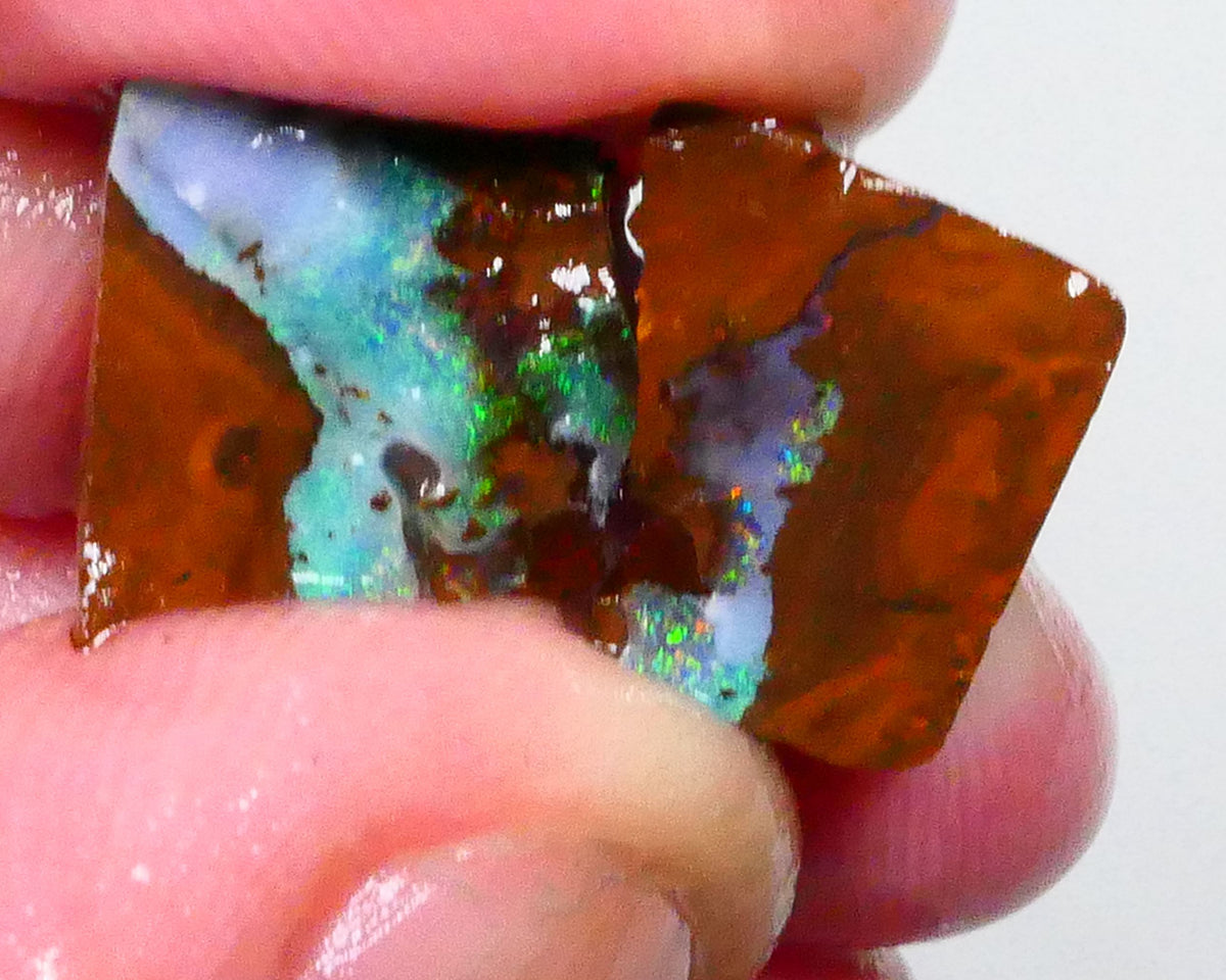 Pair of Winton boulder opal rough to cut & Polish 13.25cts Green/Blue hues 13x11x6mm & 12x11x5mm  Lot B4-A642