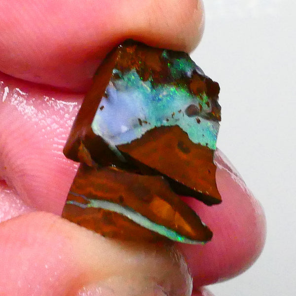Pair of Winton boulder opal rough to cut & Polish 13.25cts Green/Blue hues 13x11x6mm & 12x11x5mm  Lot B4-A642