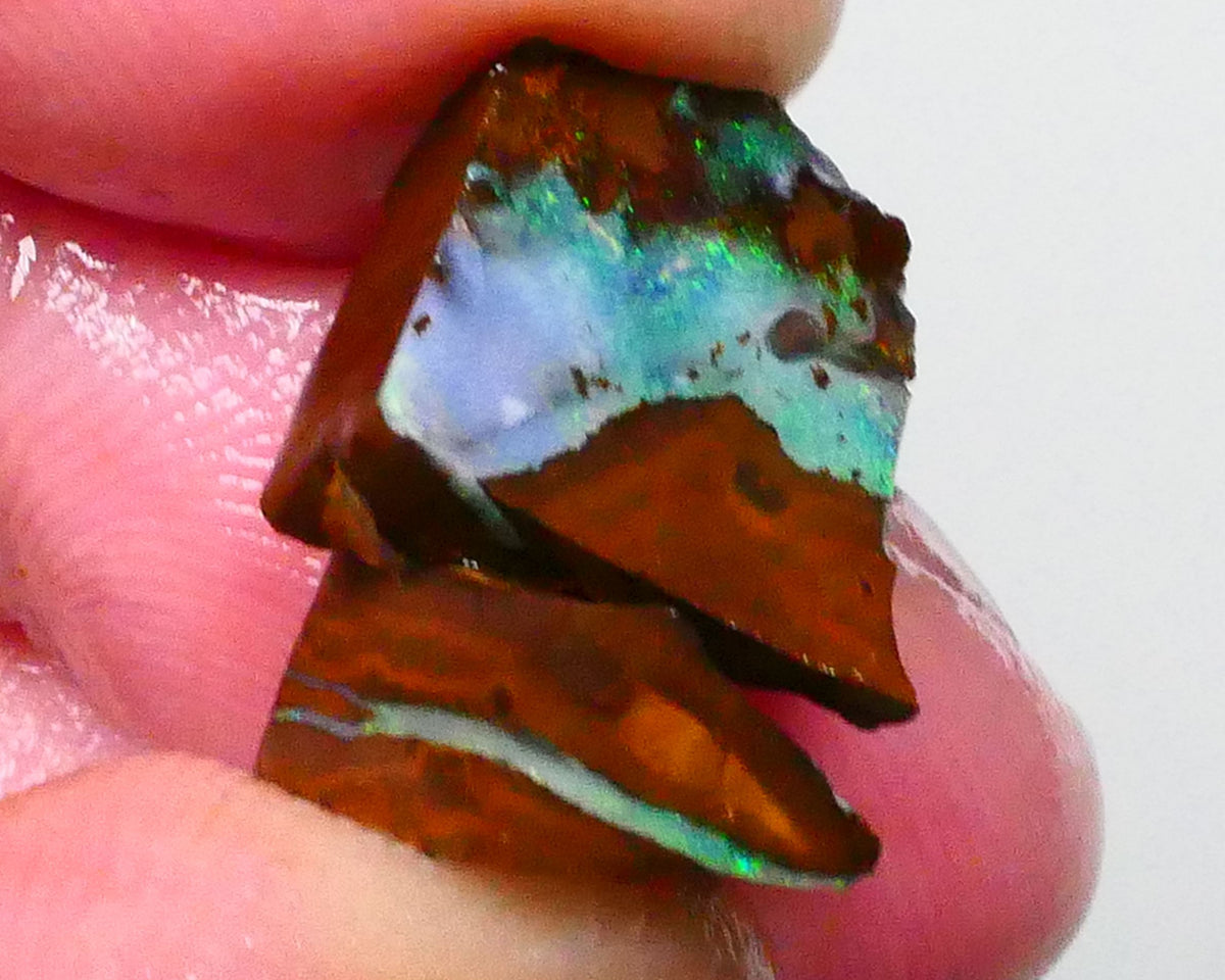 Pair of Winton boulder opal rough to cut & Polish 13.25cts Green/Blue hues 13x11x6mm & 12x11x5mm  Lot B4-A642