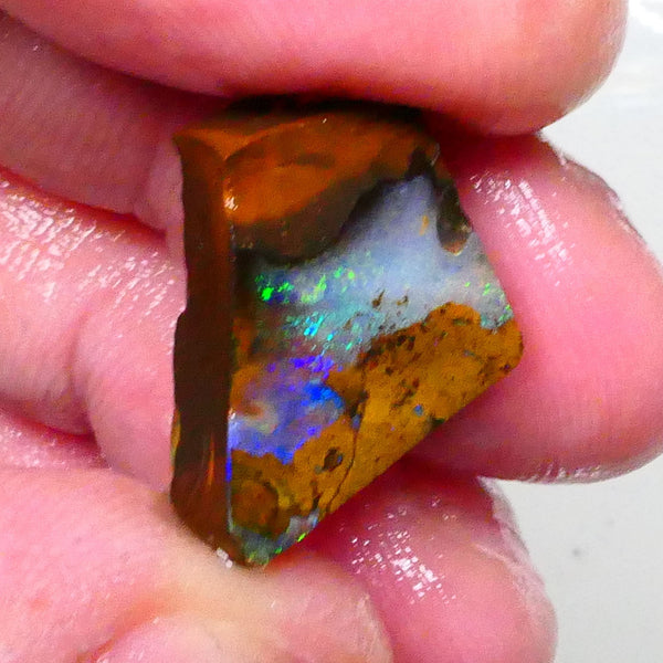 Winton boulder opal rub/rough 17.50cts Stunning blue/Green Dominant Multifires to cut & polish 17x13x8mm Lot B4-A638