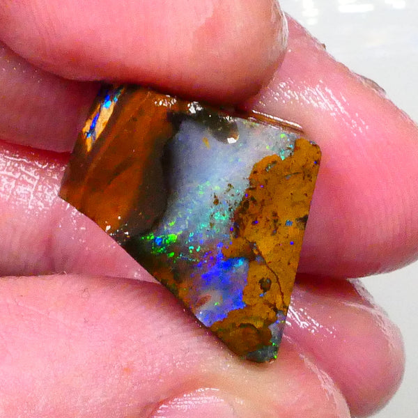 Winton boulder opal rub/rough 17.50cts Stunning blue/Green Dominant Multifires to cut & polish 17x13x8mm Lot B4-A638