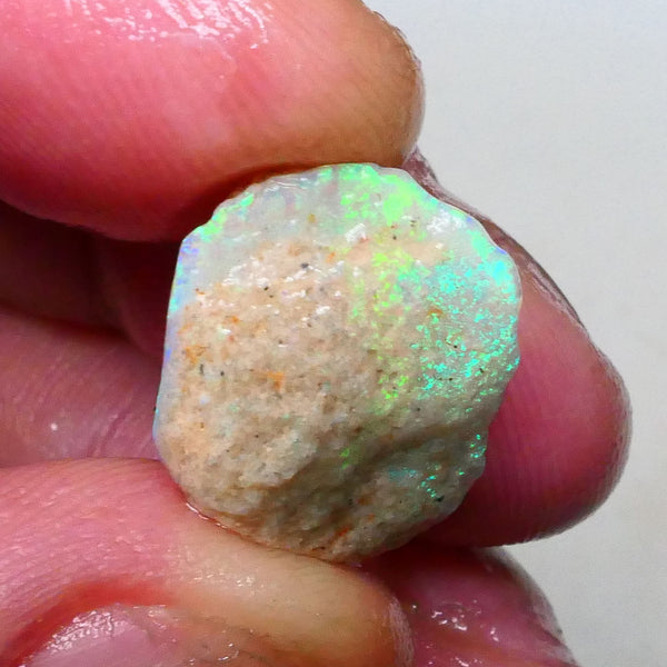 Bright Gorgeous Multicolour opal formation rough 7.50cts Fires visible in bar and top skin to cut 17x15x9mm  Lot B4-A653