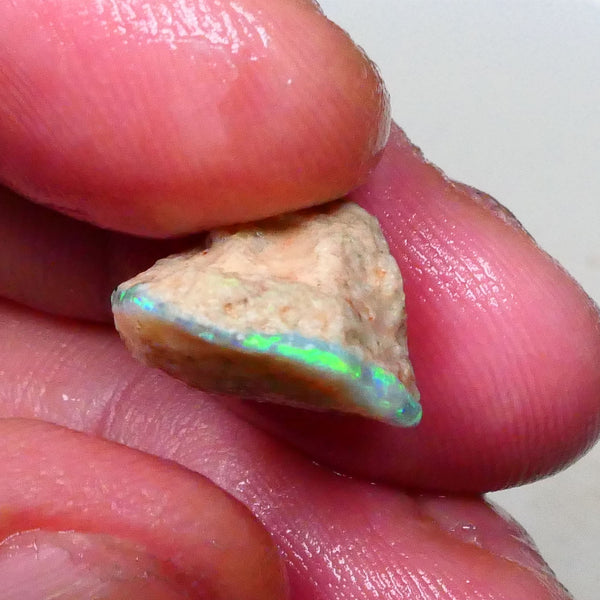 Bright Gorgeous Multicolour opal formation rough 7.50cts Fires visible in bar and top skin to cut 17x15x9mm  Lot B4-A653