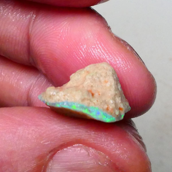 Bright Gorgeous Multicolour opal formation rough 7.50cts Fires visible in bar and top skin to cut 17x15x9mm  Lot B4-A653