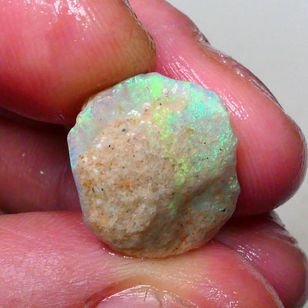 Bright Gorgeous Multicolour opal formation rough 7.50cts Fires visible in bar and top skin to cut 17x15x9mm  Lot B4-A653