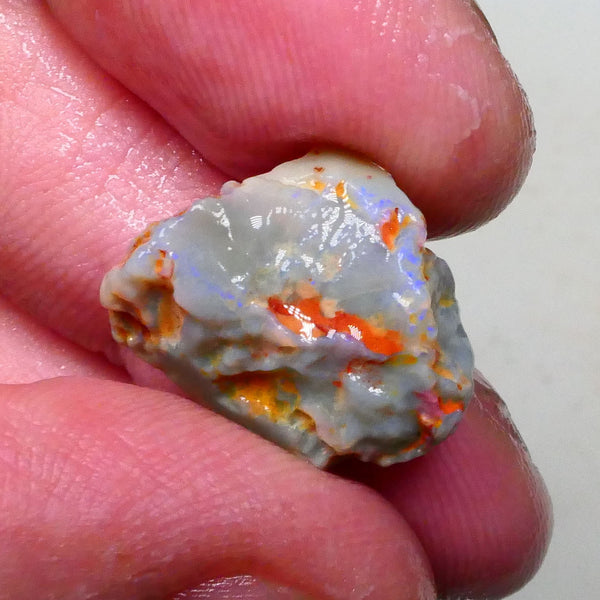 Untouched Knobby opal rough of Lighting Ridge 10.00cts Dark base with blues showing through top skin to gamble 18x16x8mm Lot B4-A650