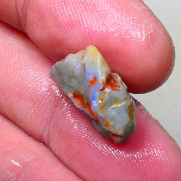 Untouched Knobby opal rough of Lighting Ridge 10.00cts Dark base with blues showing through top skin to gamble 18x16x8mm Lot B4-A650