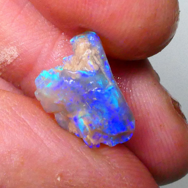 Bright vibrant opalised wood fossil rough of Lighting Ridge area 3.60cts Stunning Blue/Green Hues to cut & polish 14x10x6mm Lot B4-A656