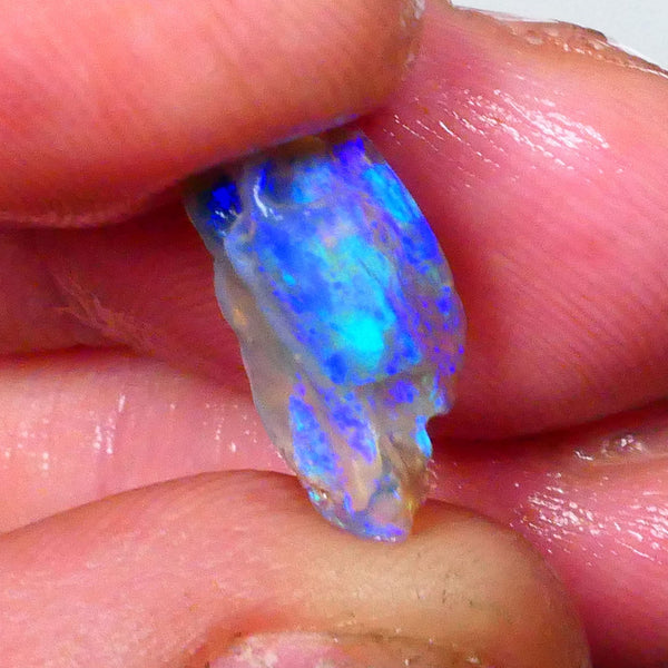 Bright vibrant opalised wood fossil rough of Lighting Ridge area 3.60cts Stunning Blue/Green Hues to cut & polish 14x10x6mm Lot B4-A656