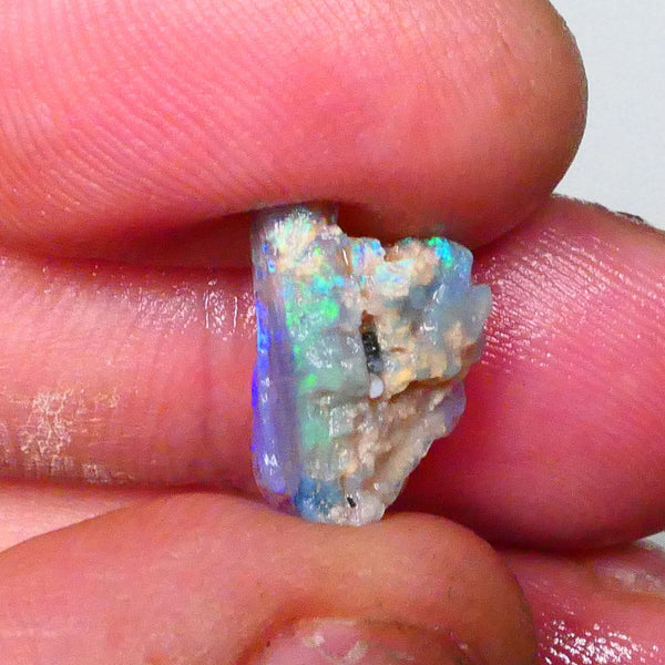 Bright vibrant opalised wood fossil rough of Lighting Ridge area 3.60cts Stunning Blue/Green Hues to cut & polish 14x10x6mm Lot B4-A656