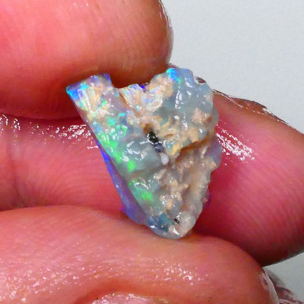 Bright vibrant opalised wood fossil rough of Lighting Ridge area 3.60cts Stunning Blue/Green Hues to cut & polish 14x10x6mm Lot B4-A656