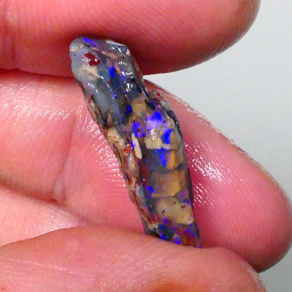 Lightning Ridge opalised wood fossil rough 10.00cts blue colours collect or chase 25x13x7mm  Lot B4-A661