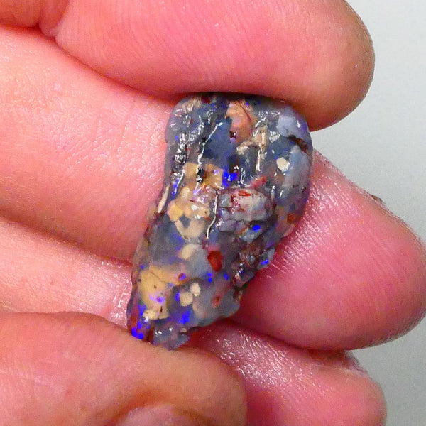 Lightning Ridge opalised wood fossil rough 10.00cts blue colours collect or chase 25x13x7mm  Lot B4-A661