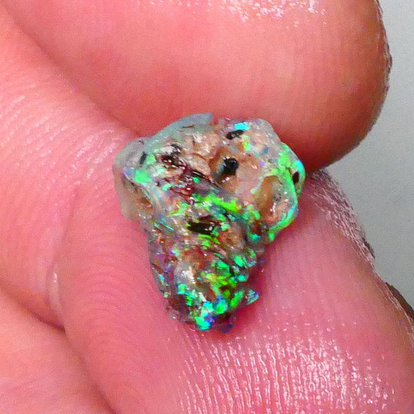 Small but Mighty Super Bright Greens on this Knobby opal rough 1.65cts Lightning Ridge Exotic Greens 12x9x6mm  Lot B4-A665