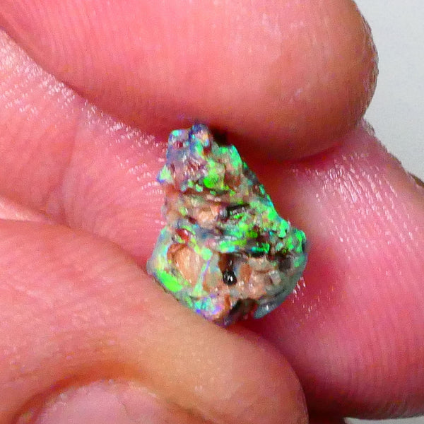 Small but Mighty Super Bright Greens on this Knobby opal rough 1.65cts Lightning Ridge Exotic Greens 12x9x6mm  Lot B4-A665