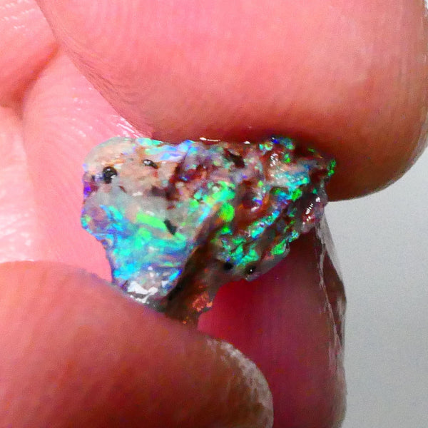 Small but Mighty Super Bright Greens on this Knobby opal rough 1.65cts Lightning Ridge Exotic Greens 12x9x6mm  Lot B4-A665