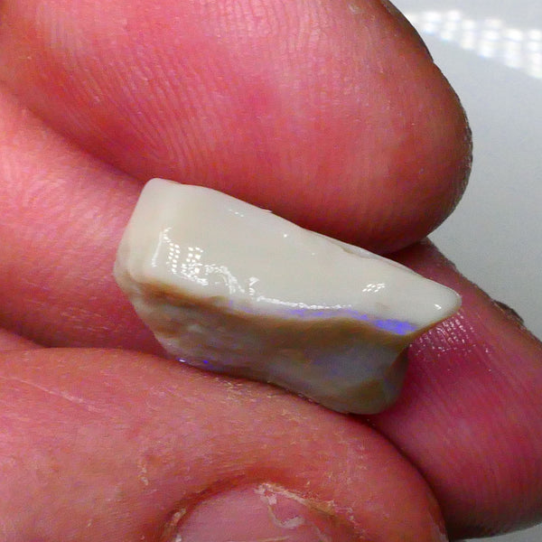 Blue fires visible in bar side to side & top skin 8.50cts Grey base Seam opal rough of Lightning Ridge to gamble 17x15x6mm  Lot B4-A679