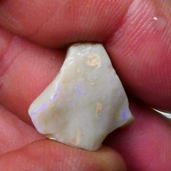 Blue fires visible in bar side to side & top skin 8.50cts Grey base Seam opal rough of Lightning Ridge to gamble 17x15x6mm  Lot B4-A679