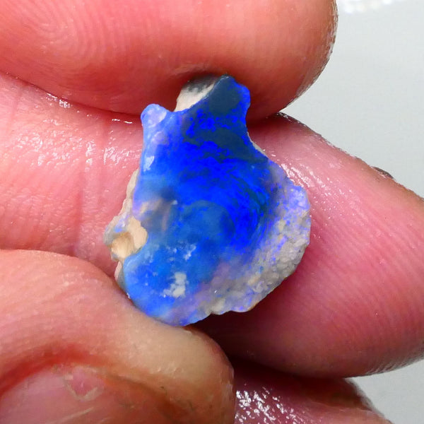 Lightning Ridge Faced black knobby opal rub/rough 4.20cts Gorgeous Bright Royal blues ready to shape & Polish a Gem 15x11x6mm  Lot B4-A718